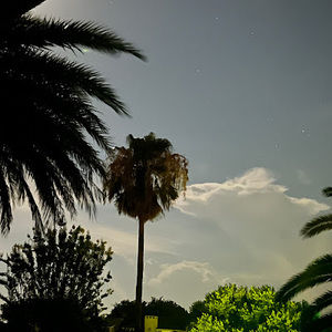 Meet your Posher, Addison